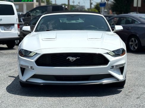 Used 2019 Ford Mustang Premium image 7