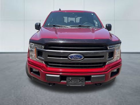 Used 2019 Ford F150 XLT w/ Equipment Group 302A Luxury AWD/4WD image 6