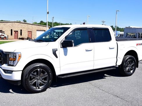 Used 2021 Ford F150 XLT w/ Equipment Group 302A High AWD/4WD image 1