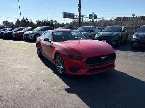 New 2026 Ford Mustang Coupe image 1