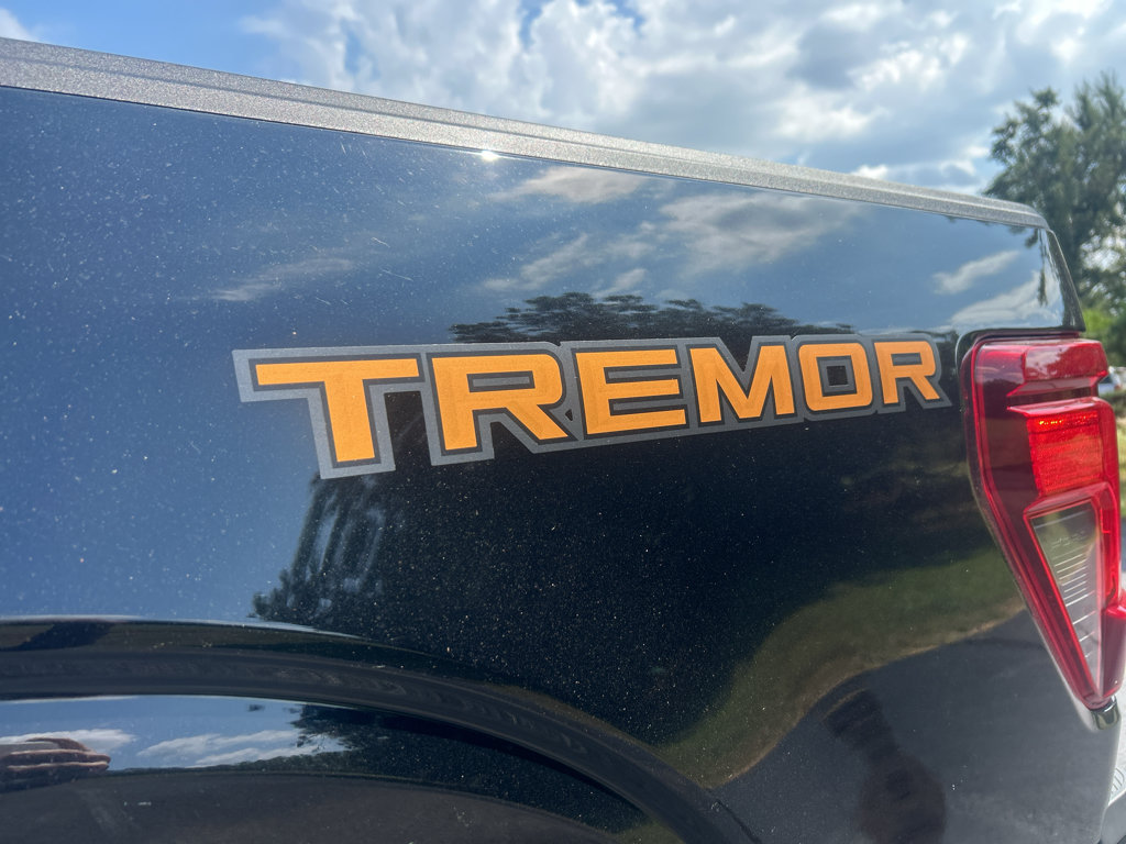 New 2026 Ford F150 Tremor AWD/4WD image 16