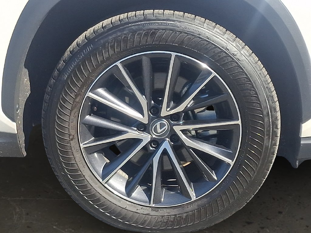 Used 2025 Lexus NX 250 AWD w/ Cold Area Package image 10