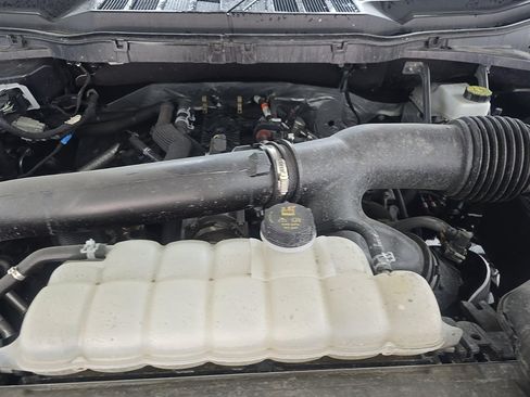 Used 2025 Ford F150 XLT w/ Equipment Group 301A Standard AWD/4WD image 15