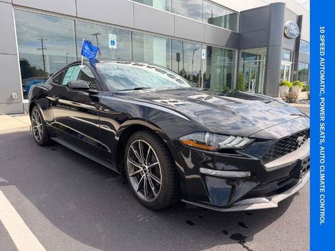 Certified 2019 Ford Mustang Coupe w/ Equipment Group 101A RWD image 2