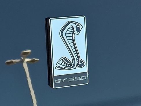 Used 2017 Ford Mustang Shelby GT350 w/ Electronics Package image 10