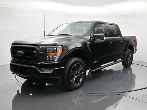 Used 2023 Ford F150 XLT w/ Equipment Group 302A High image 1