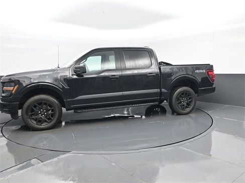 Used 2024 Ford F150 STX w/ STX Black Appearance Package image 5
