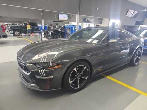 Used 2019 Ford Mustang Coupe RWD image 1