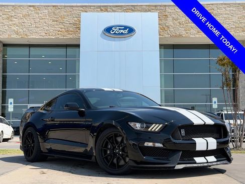 Used 2019 Ford Mustang Shelby GT350 w/ Technology Package RWD image 1