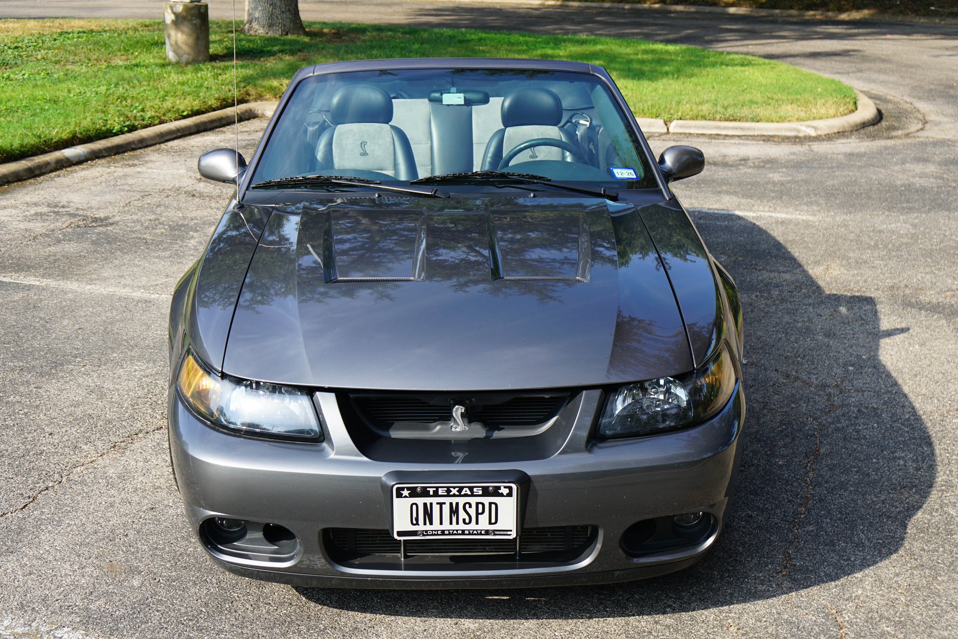 Used 2003 Ford Mustang Cobra RWD image 14