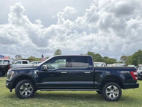 Used 2023 Ford F150 Platinum w/ Equipment Group 701A High AWD/4WD image 13