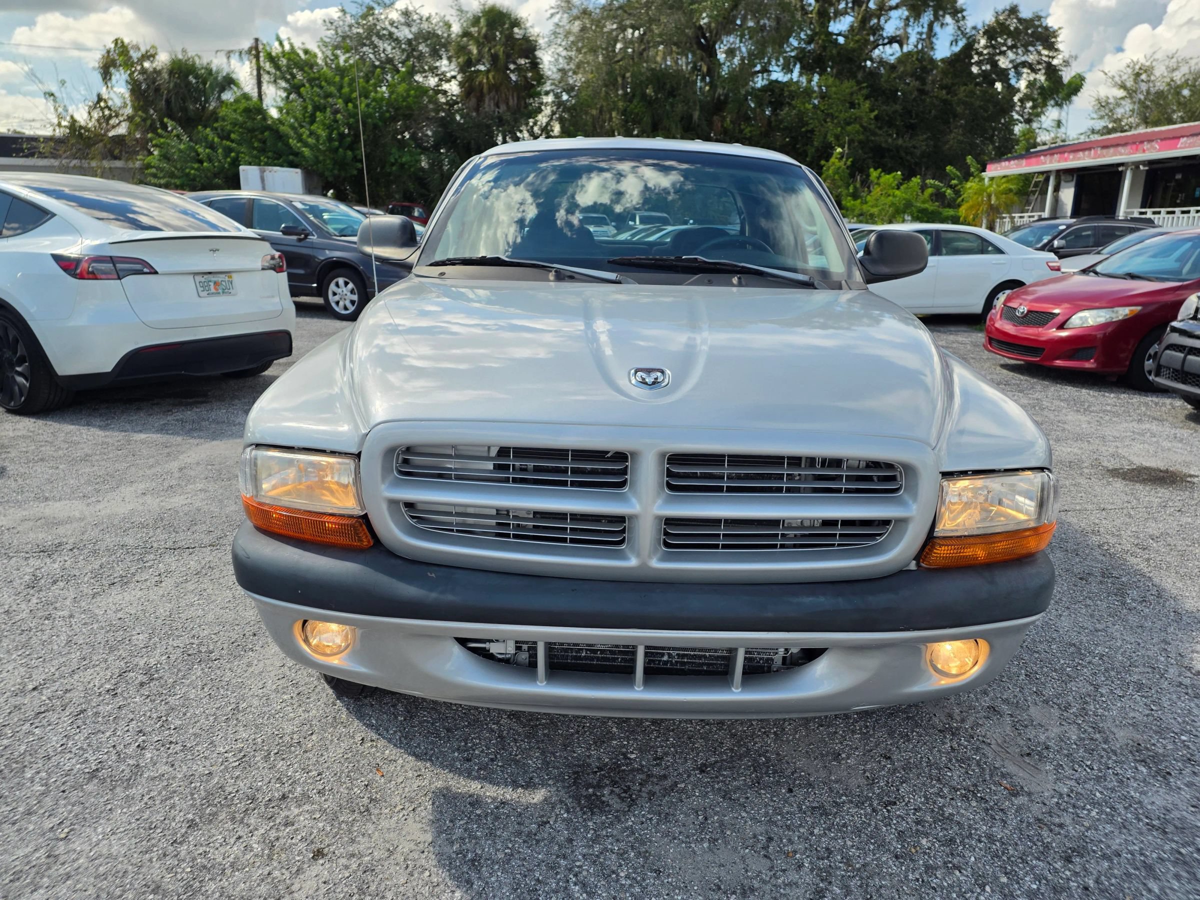 Used 2002 Dodge Dakota Sport RWD image 2