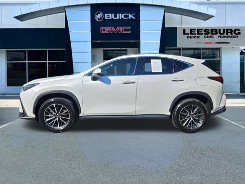 Used 2024 Lexus NX 350 AWD w/ Cold Area Package image 4
