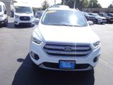 Used 2017 Ford Escape SE w/ Equipment Group 201A image 2