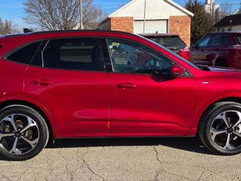 Certified 2025 Ford Escape ST-Line Elite image 4