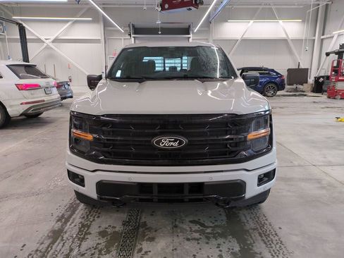 Used 2024 Ford F150 XLT w/ Equipment Group 302A MID image 8