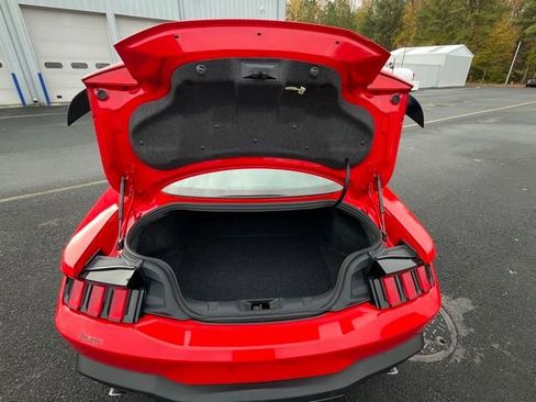 Used 2024 Ford Mustang GT w/ Mustang Nite Pony Package image 12