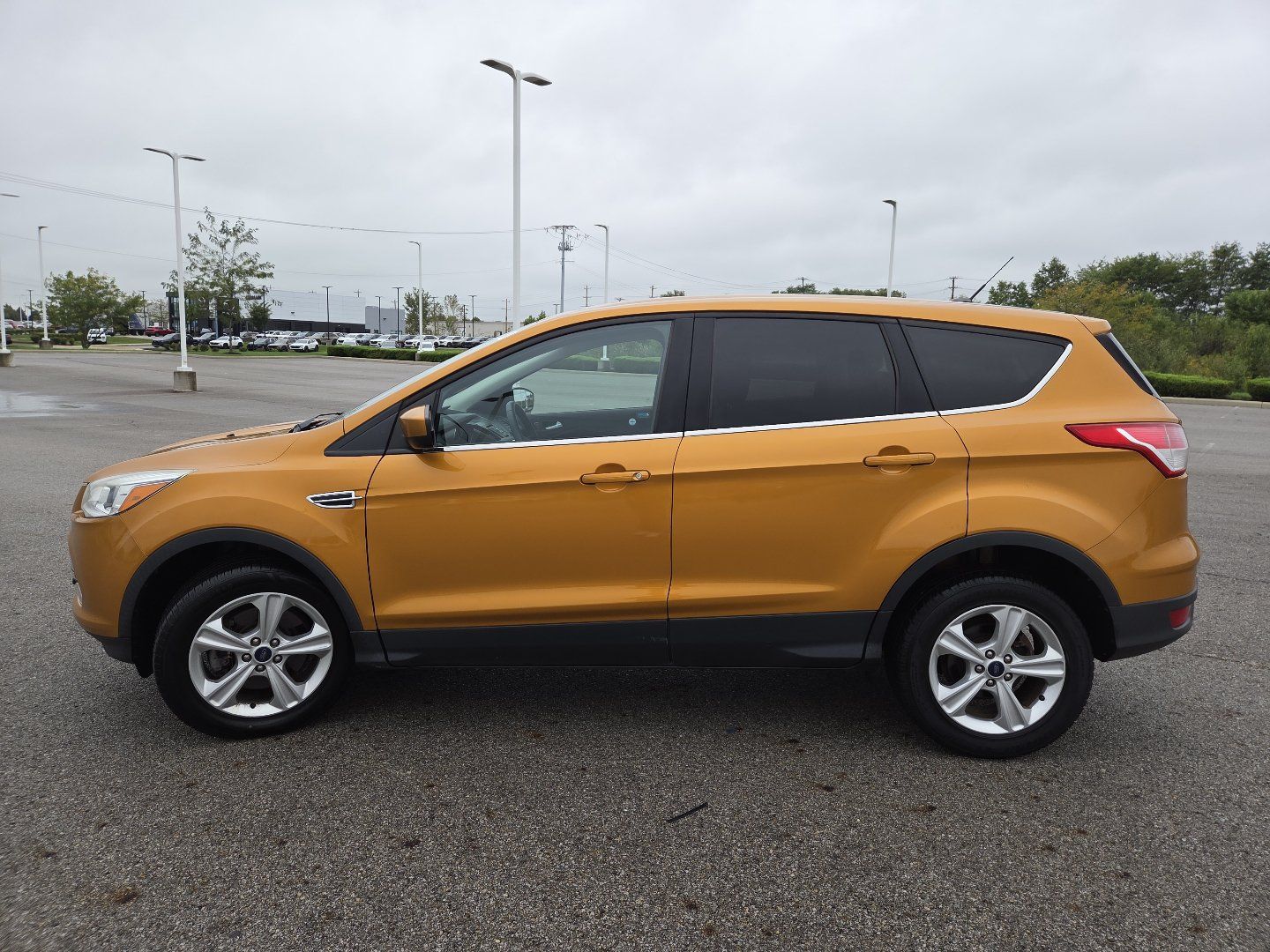 Used 2016 Ford Escape SE AWD/4WD image 13