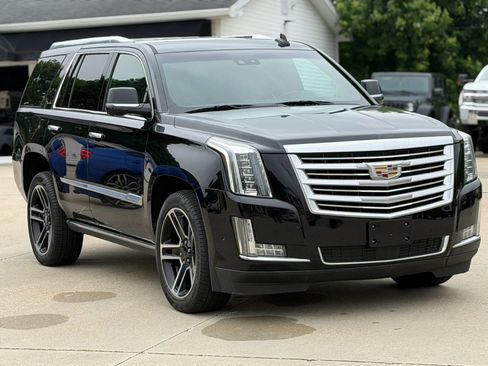 Used 2019 Cadillac Escalade Platinum AWD/4WD image 1