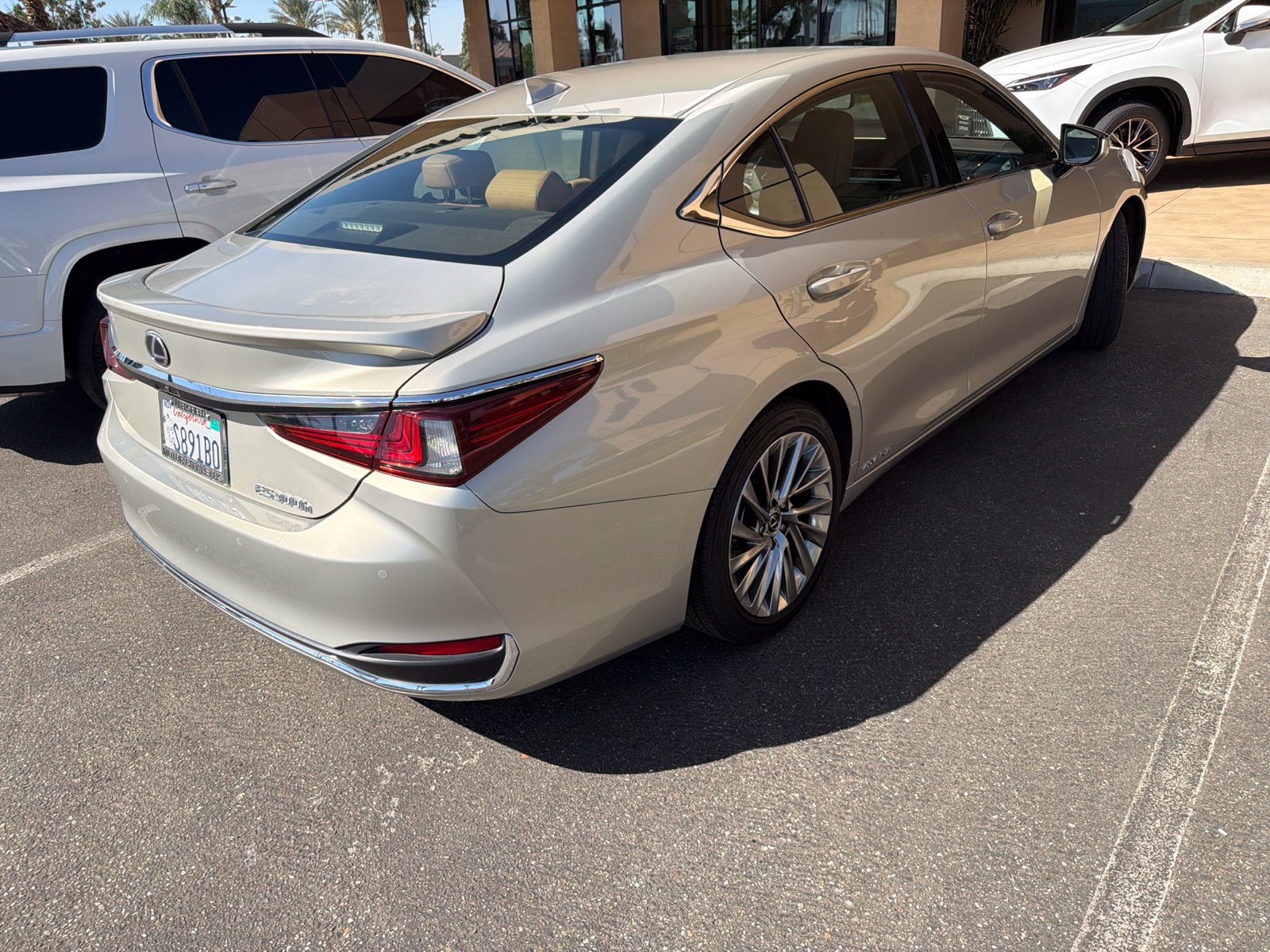 Used 2019 Lexus ES 300h w/ Accessory Package 2 FWD image 3