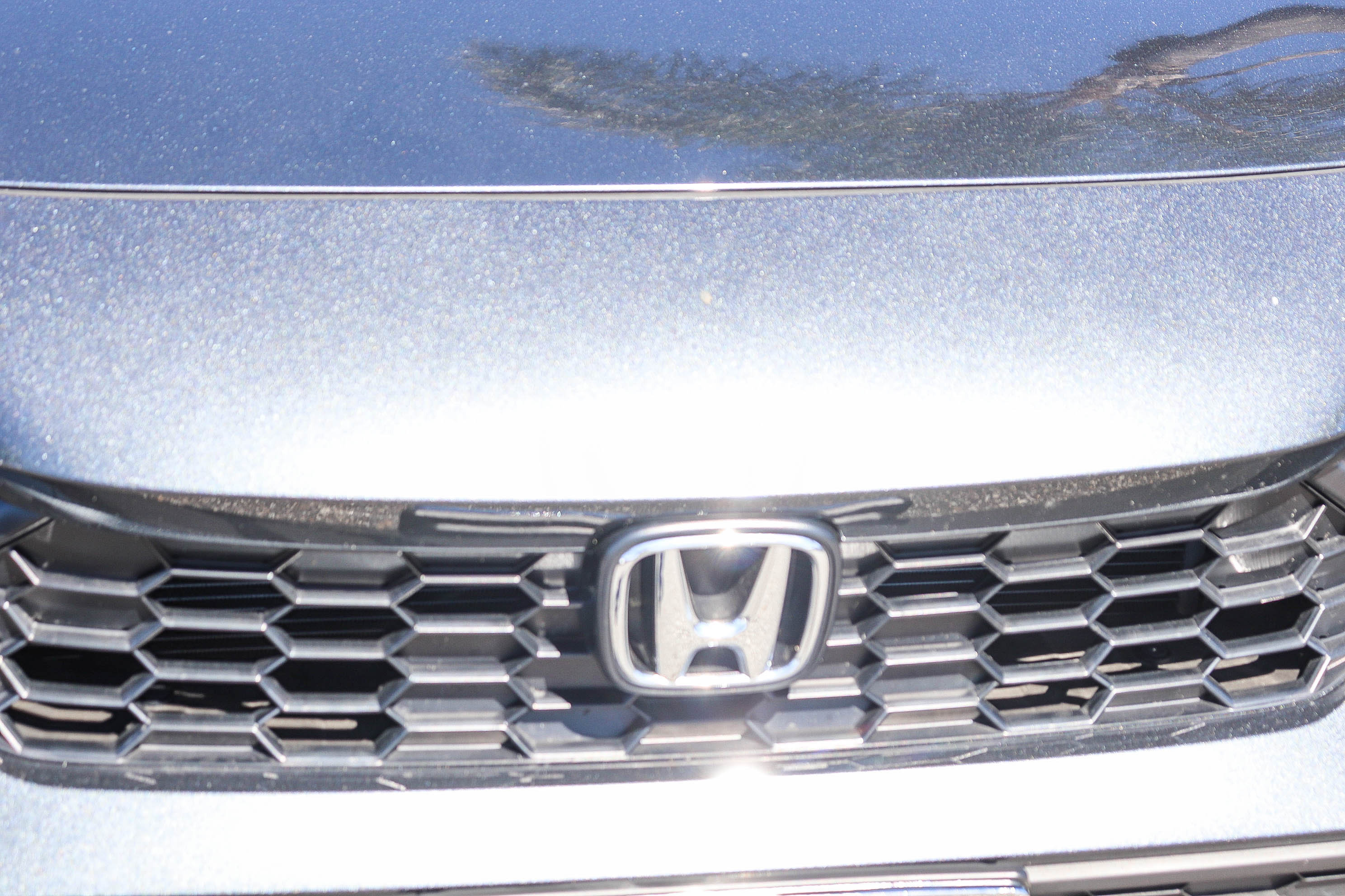 Certified 2026 Honda Civic Sport image 4