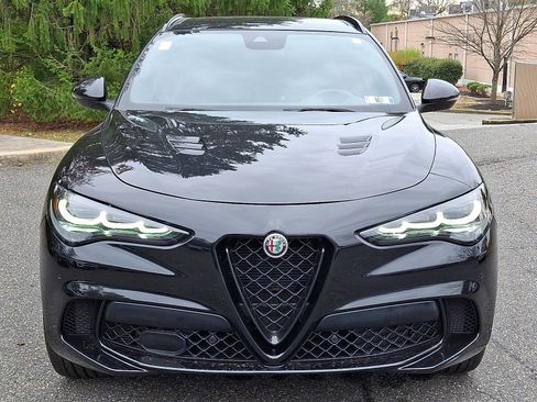 Used 2024 Alfa Romeo Stelvio Quadrifoglio w/ Active Assist Plus Package image 2