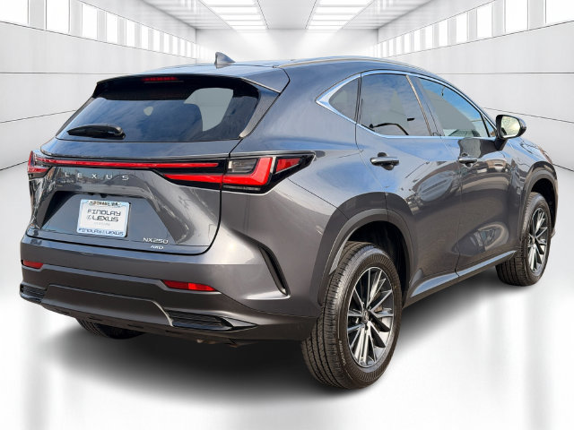 Certified 2023 Lexus NX 250 AWD image 7