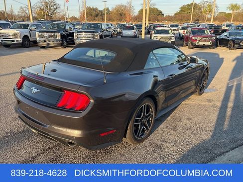 Used 2023 Ford Mustang Premium w/ Equipment Group 201A image 5
