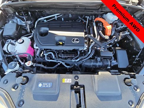 Used 2024 Lexus NX 350h AWD image 13