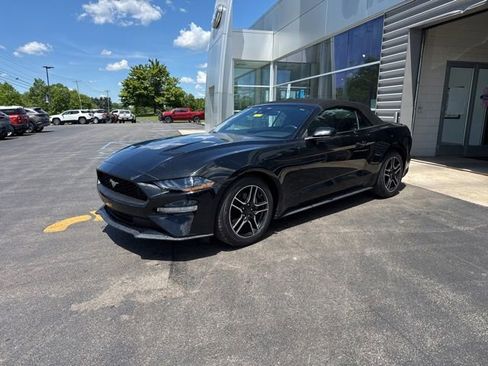 Used 2023 Ford Mustang Premium RWD image 2