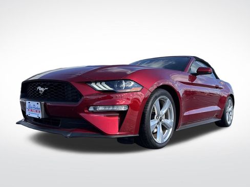 Used 2018 Ford Mustang Premium w/ Equipment Group 201A image 2