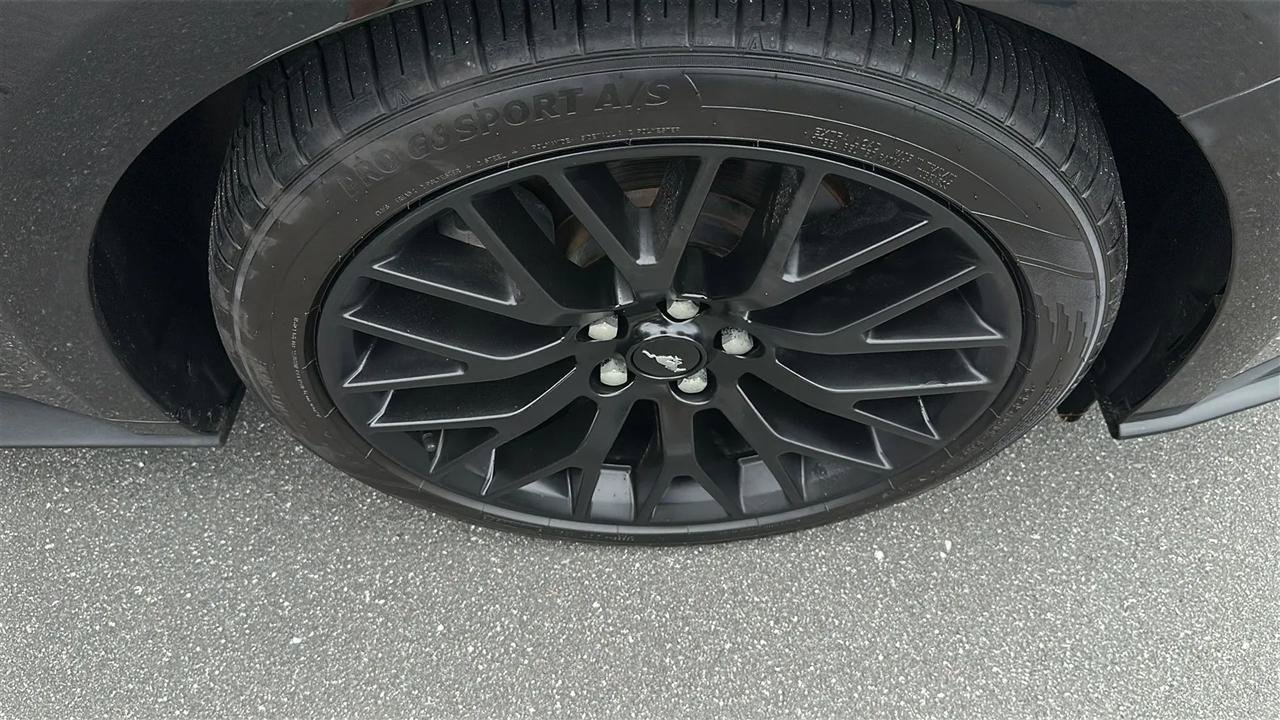 Used 2018 Ford Mustang Coupe RWD image 20