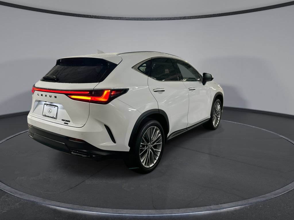 New 2026 Lexus NX 350 AWD w/ Accessory Package (Z1) image 2
