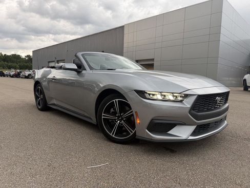 Used 2024 Ford Mustang Premium RWD image 3