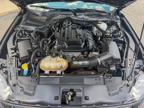 Used 2018 Ford Mustang Premium w/ Equipment Group 201A RWD image 20