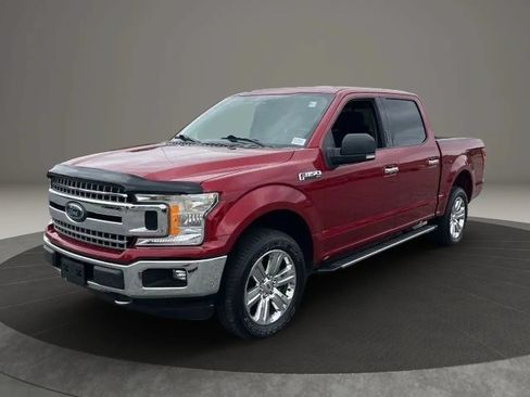 Used 2019 Ford F150 XLT w/ Equipment Group 302A Luxury AWD/4WD image 1
