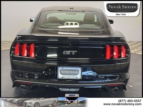 Used 2017 Ford Mustang GT Premium w/ Equipment Group 401A image 5