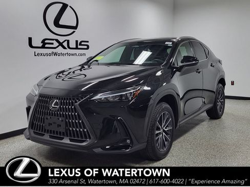 Certified 2024 Lexus NX 350 AWD w/ Cold Area Package image 1