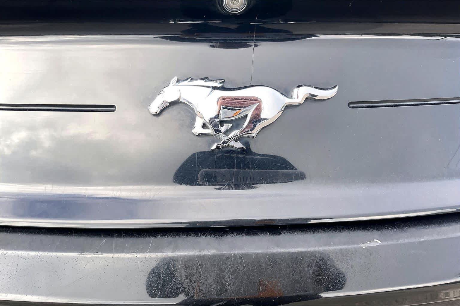Used 2018 Ford Mustang Premium w/ Equipment Group 201A RWD image 10