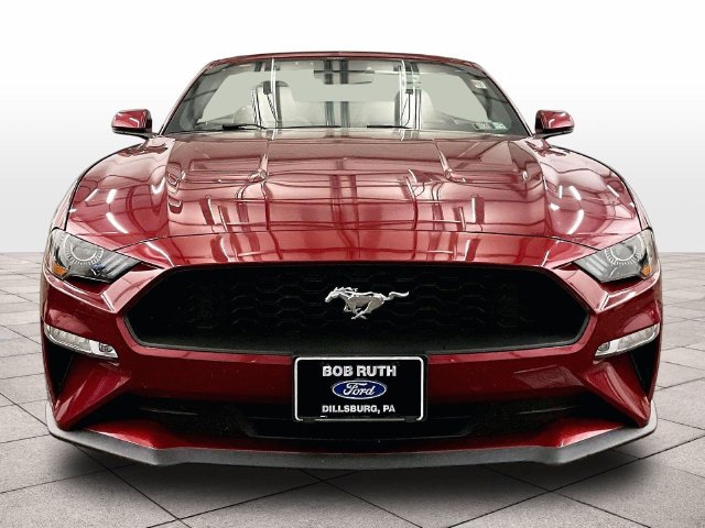 Used 2019 Ford Mustang Premium w/ Equipment Group 201A RWD image 3