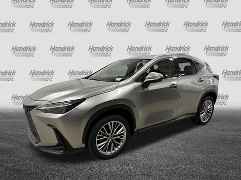 Used 2025 Lexus NX 350 AWD w/ Cold Area Package image 5