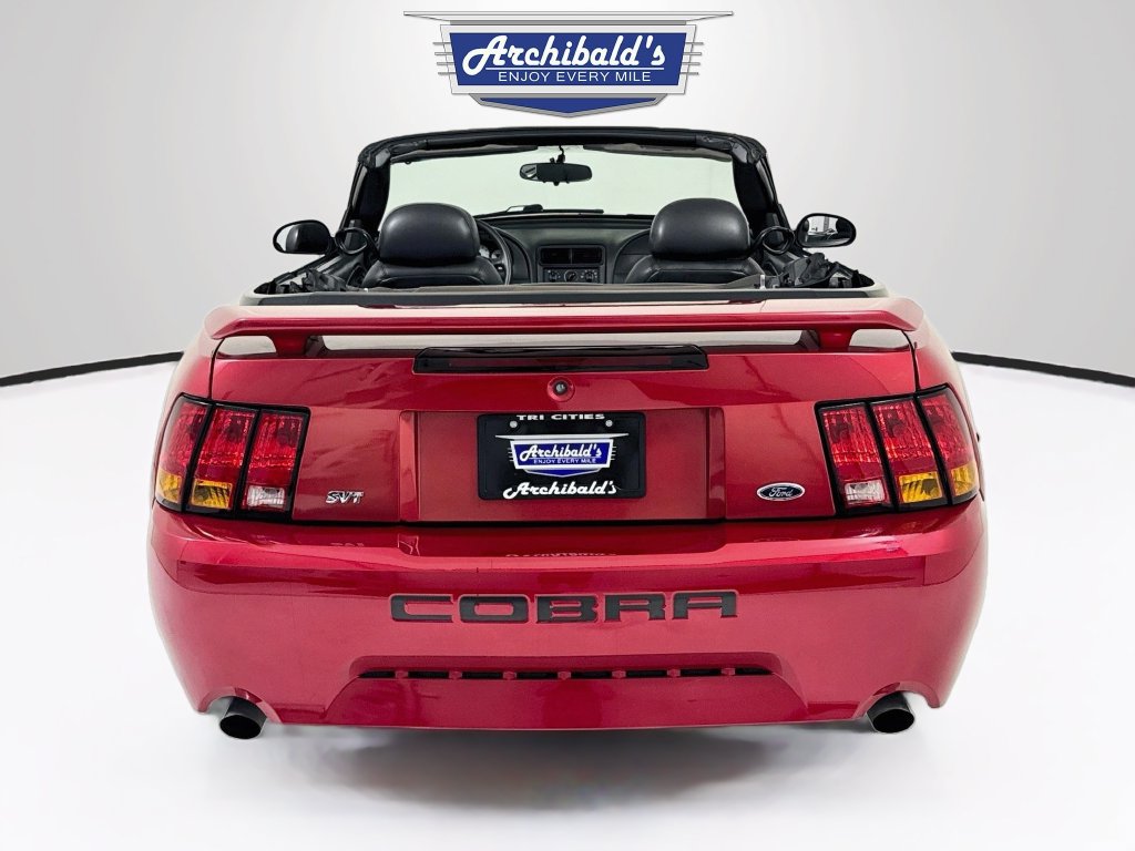 Used 2001 Ford Mustang Cobra RWD image 6