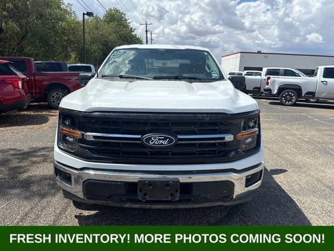 Used 2025 Ford F150 XLT w/ Equipment Group 301A Standard RWD image 7