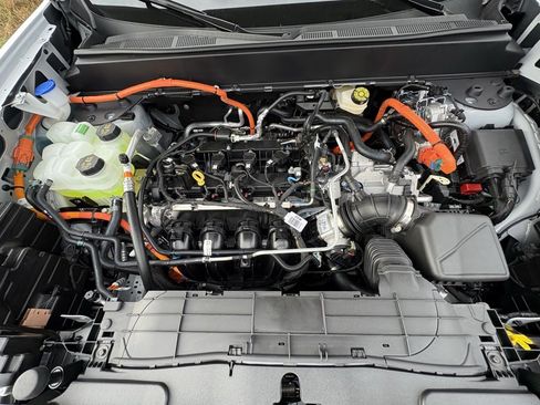 New 2025 Ford Maverick XLT image 13