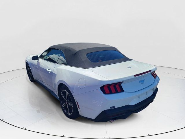 Used 2024 Ford Mustang Convertible RWD image 5