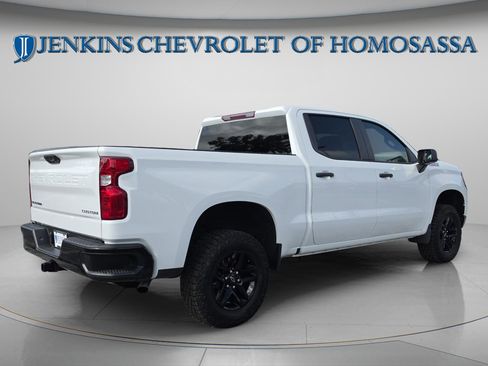 Used 2024 Chevrolet Silverado 1500 Custom Trail Boss AWD/4WD image 4