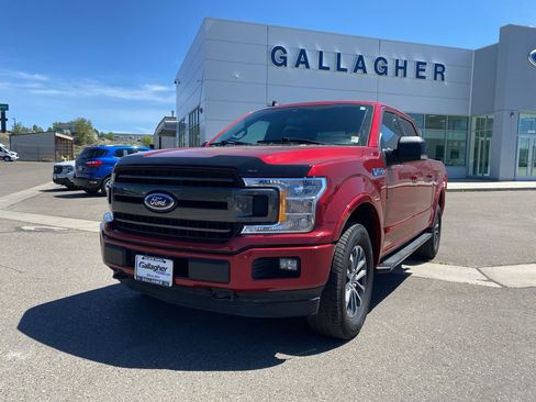 Used 2019 Ford F150 XLT w/ Equipment Group 302A Luxury AWD/4WD image 15
