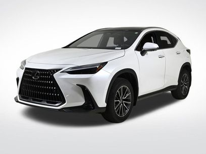 Used 2025 Lexus NX 300h AWD w/ Cold Area Package