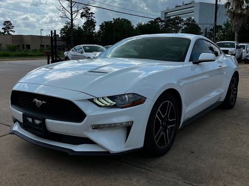 Used 2019 Ford Mustang Coupe w/ Equipment Group 101A RWD image 1