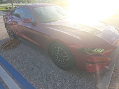 Used 2019 Ford Mustang Coupe w/ Equipment Group 101A